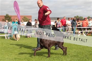 130370_tl_01_IMG_7552.JPG