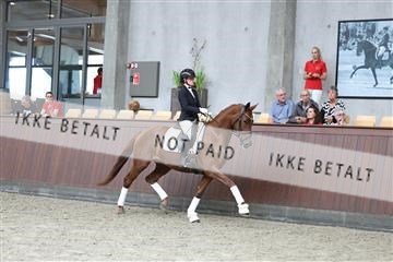 181852_mtp_04_R62_2983.JPG