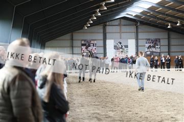 174362_kbb_01_R6II7741.JPG