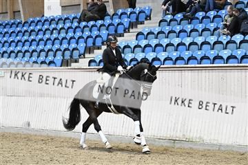 182241_kbb_01_Z093926.JPG
