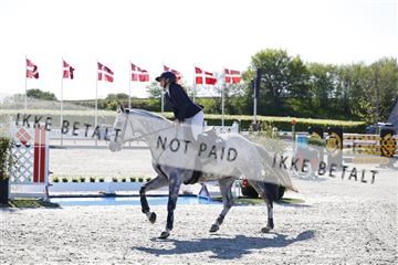181332_kbb_01_6II4451.JPG