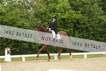 139835_sg_01_IMG_7282.JPG