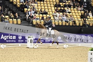 182194_kbb_03_Z090808.JPG