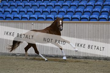 139327_abo_01__AB10250.JPG