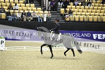 182194_kbb_02_Z099134.JPG