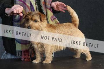 132082_le_ 01_IMG_0531.JPG