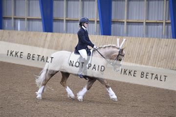 164814_ikd_01_IKD9590.JPG