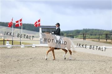 181894_mtp_04_R62_3846.JPG