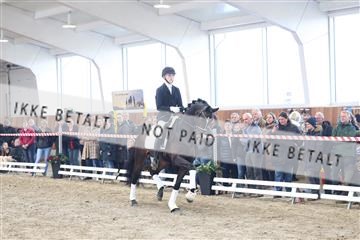 174363_kbb_01_R6II8545.JPG
