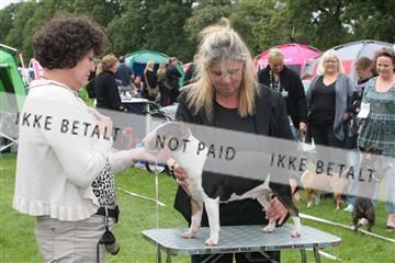 130370_tl_01_IMG_7143.JPG