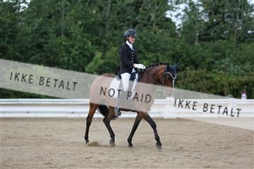 156196_nn_01_IMG_6161.JPG