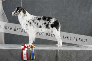 5493_sme _02__MG_9736.JPG