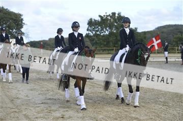 169624_kbb_01__KBB8787.JPG