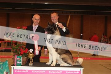 124188 _tl_02_IMG_9734.JPG