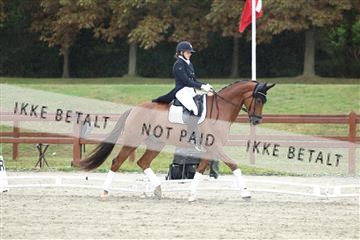 181923_mtp_04_R62_8961.JPG