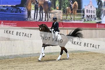 182241_kbb_01_Z093294.JPG