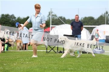 181564_rin_02_R62_1581.JPG