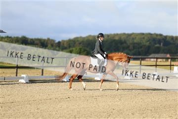 181894_mtp_04_R62_3038.JPG