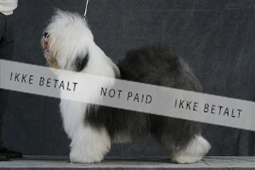 5493_sme _02__MG_9695.JPG