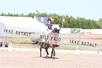 181449_bc_01R62_5921.JPG