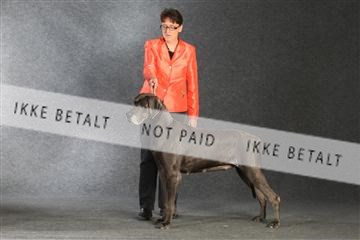 132082_le_ 01_IMG_1466.JPG