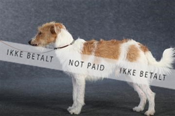 132082_le_ 01_IMG_0935.JPG