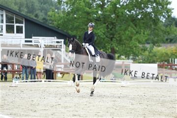 181923_mtp_01_R62_6759.JPG