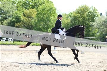 168732_mtp_01_3M5A7179.JPG