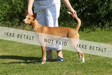 130370_se_03_IMG_6872.JPG