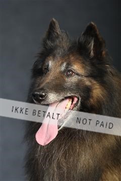 132082_le_ 01_IMG_0962.JPG