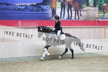 181887_mtp_04_R62_9021.JPG