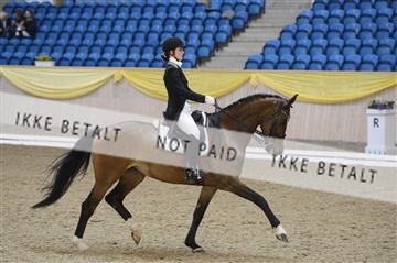 139403_ms_01__MS18197.JPG