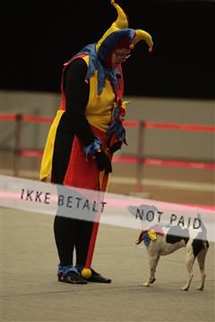 6068_sme_04_IMG_3468.JPG