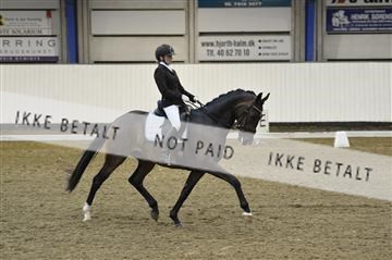 140040_abo_01__AB17803.JPG