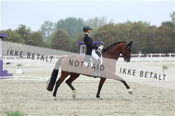 181923_mtp_03_R62_7814.JPG