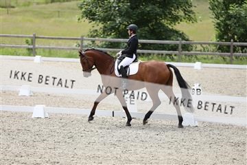 172030_mtp_01_3M5A2137.JPG