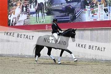 182241_kbb_01_Z093988.JPG
