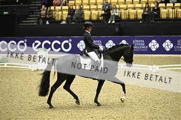 182194_kbb_01_Z096260.JPG