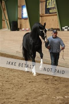 139265_kl_1_8M1Q6262.JPG