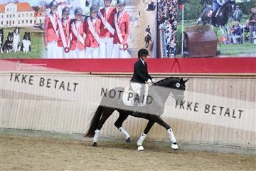181887_mtp_04_R62_9282.JPG
