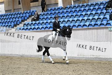 182241_kbb_01_Z095122.JPG