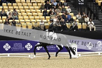 182194_kbb_03_Z090655.JPG