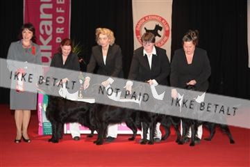 126827_tl_02_IMG_2861.JPG