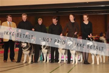 124188 _tl_02_IMG_9252.JPG