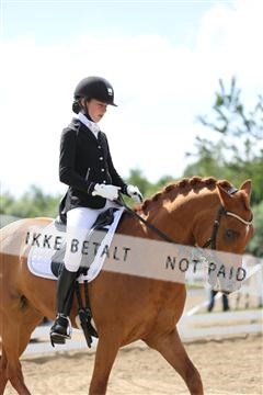 156196_nn_01_IMG_6209.JPG