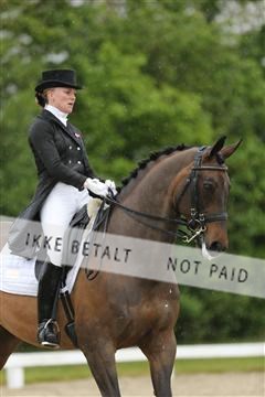 139835_sg_02_IMG_8647.JPG