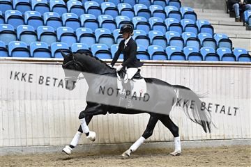 182241_kbb_01_Z094508.JPG