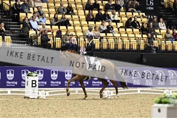 182194_kbb_03_Z090826.JPG