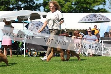 181564_rin_02_R62_3473.JPG
