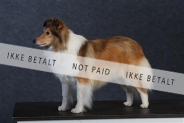 132082_le_ 01_IMG_0780.JPG